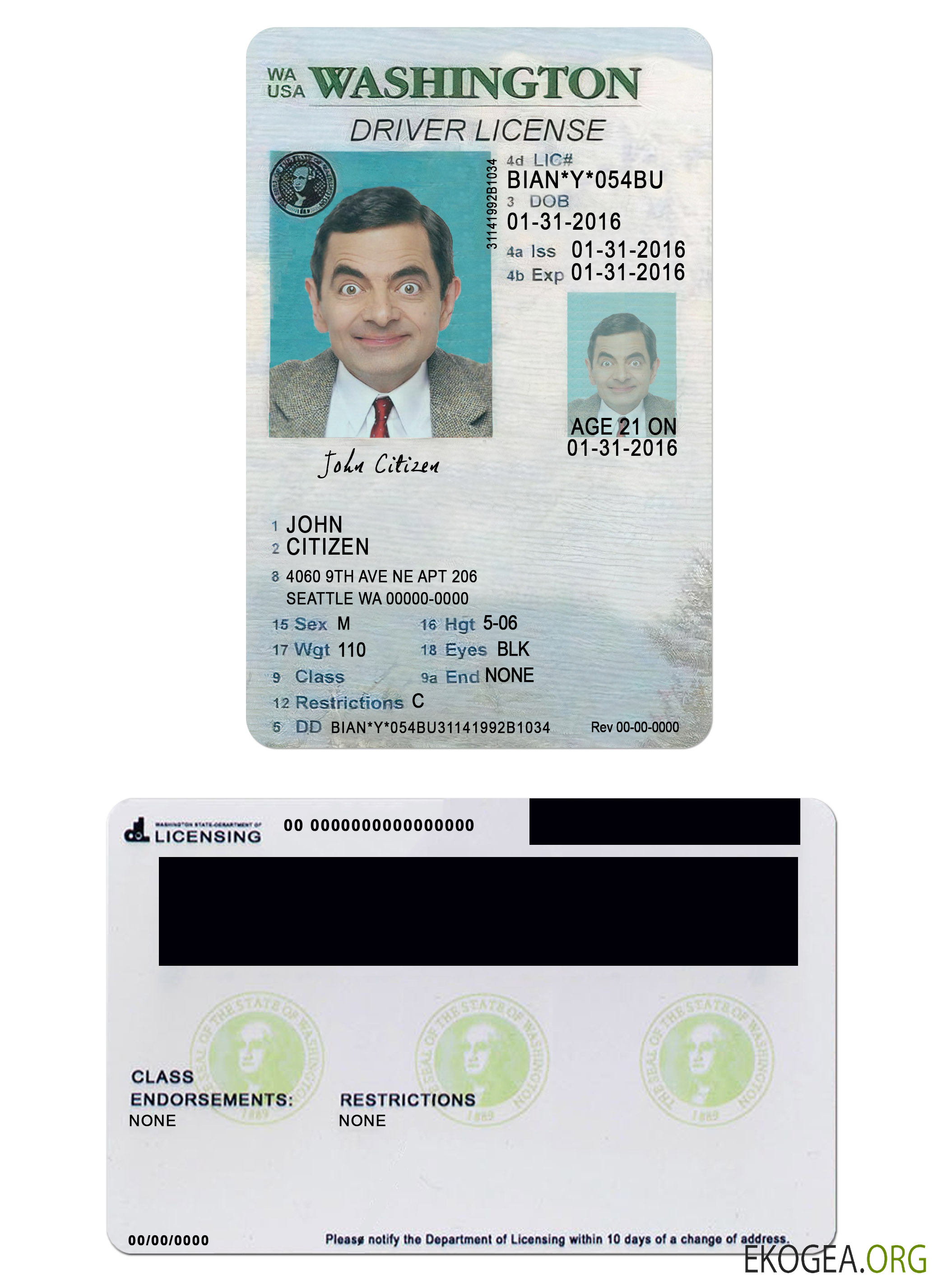 Usa Washigton driving license under 21 template